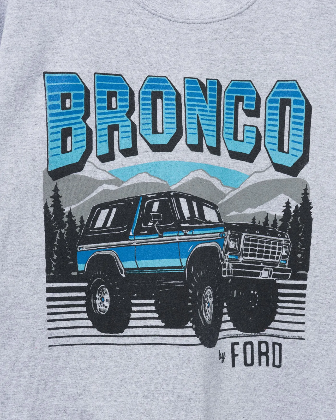 Bronco By Ford Flea Market Fleece