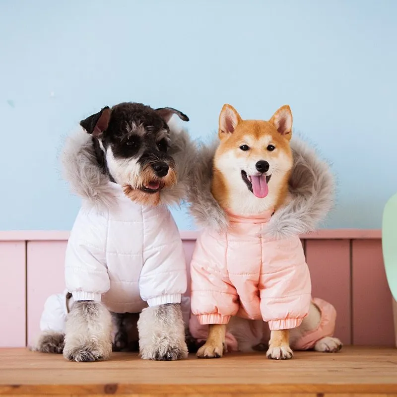 Cozy Chai Dog Pullover Hoodie