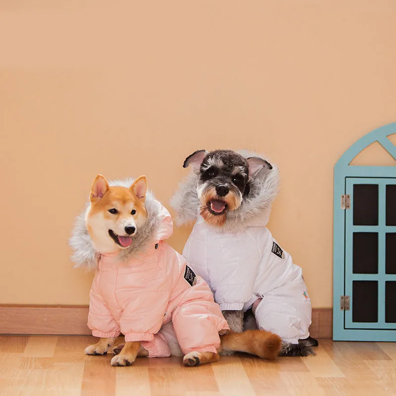 Cozy Chai Dog Pullover Hoodie