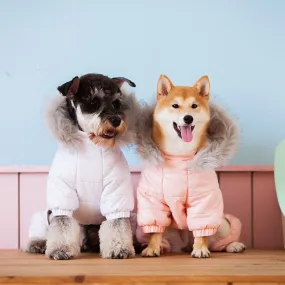 Cozy Chai Dog Pullover Hoodie