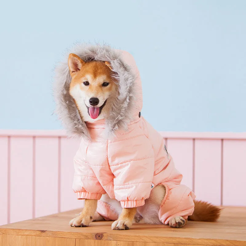Cozy Chai Dog Pullover Hoodie